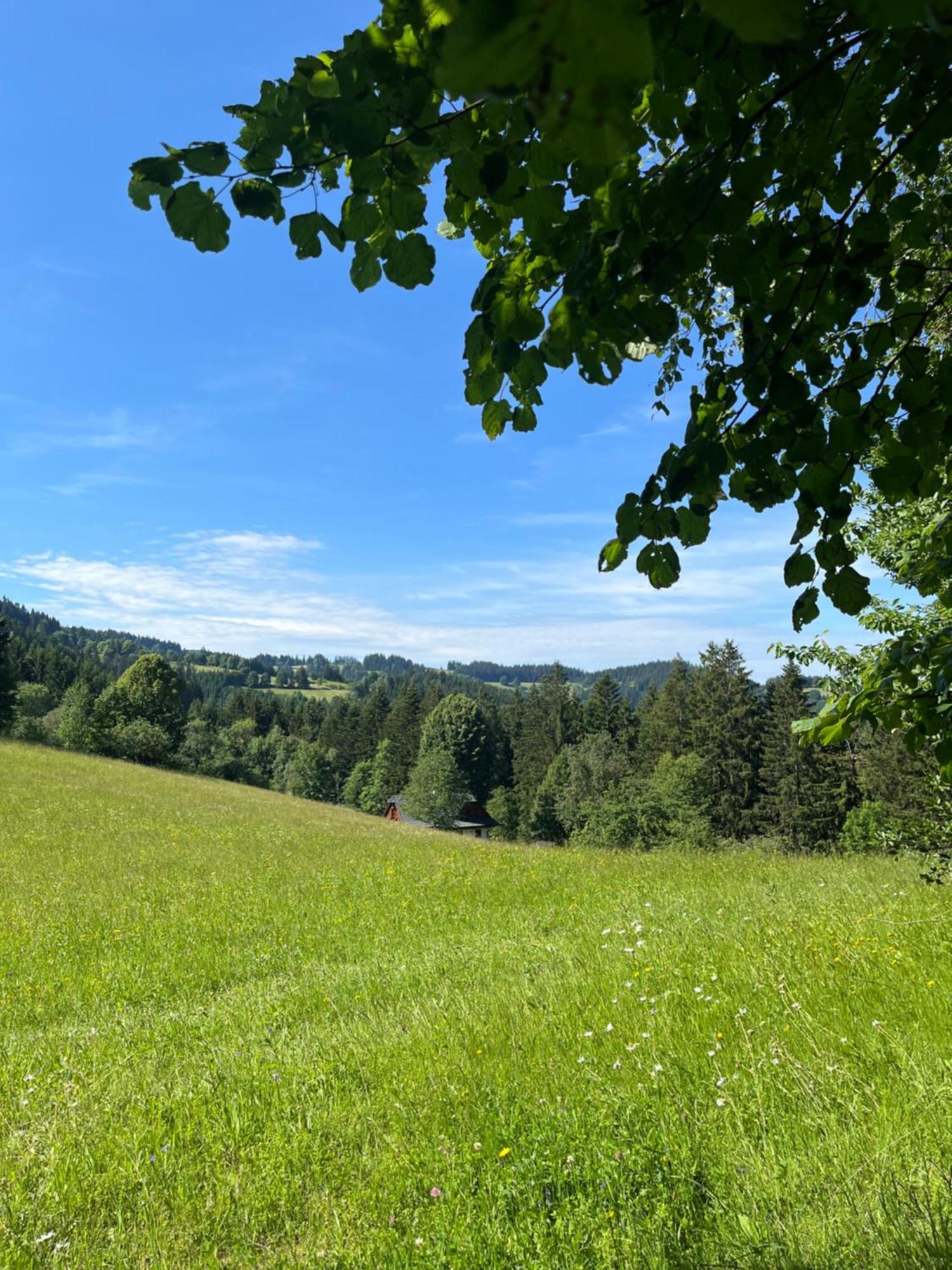 Apartamento La Siska Vsetín