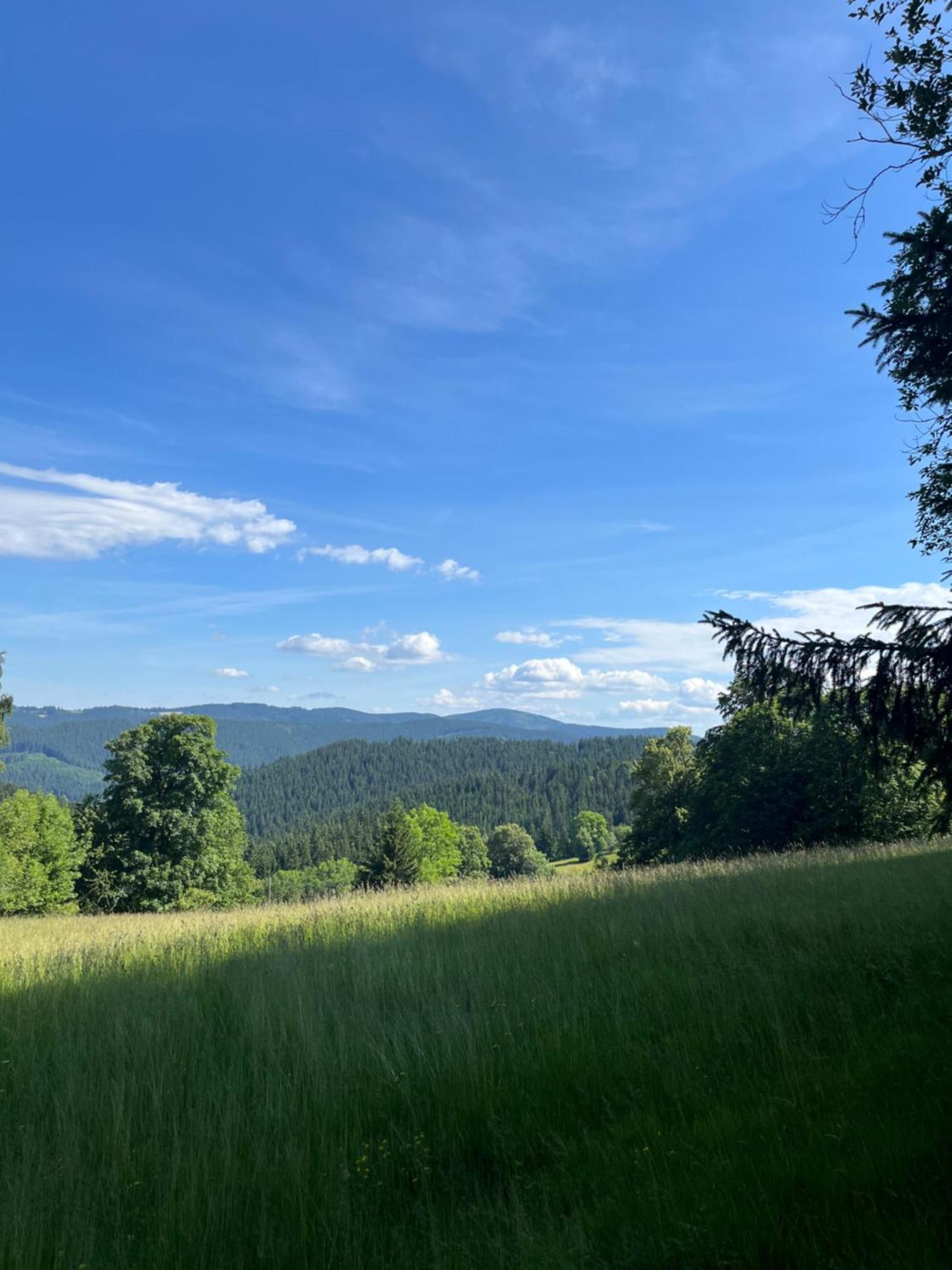 Apartamento La Siska *
